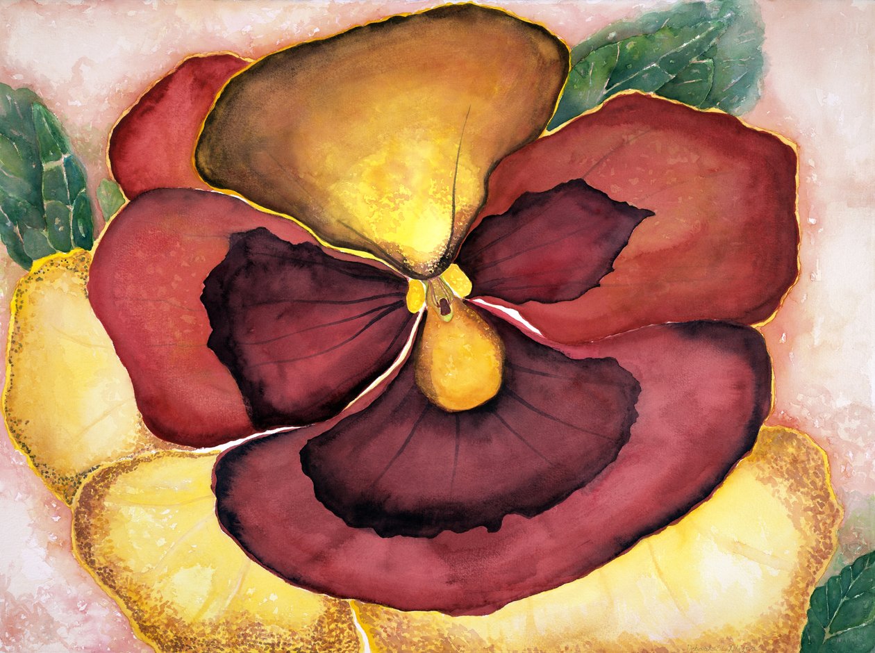 潘西，2007 年（水彩） 作者 黛博拉·伊芙·阿拉斯特拉