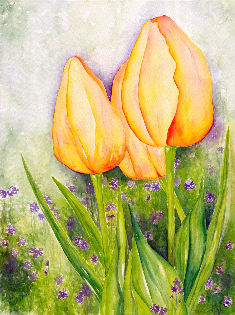黄色郁金香》，2006 年（水彩画） 作者 黛博拉·伊芙·阿拉斯特拉