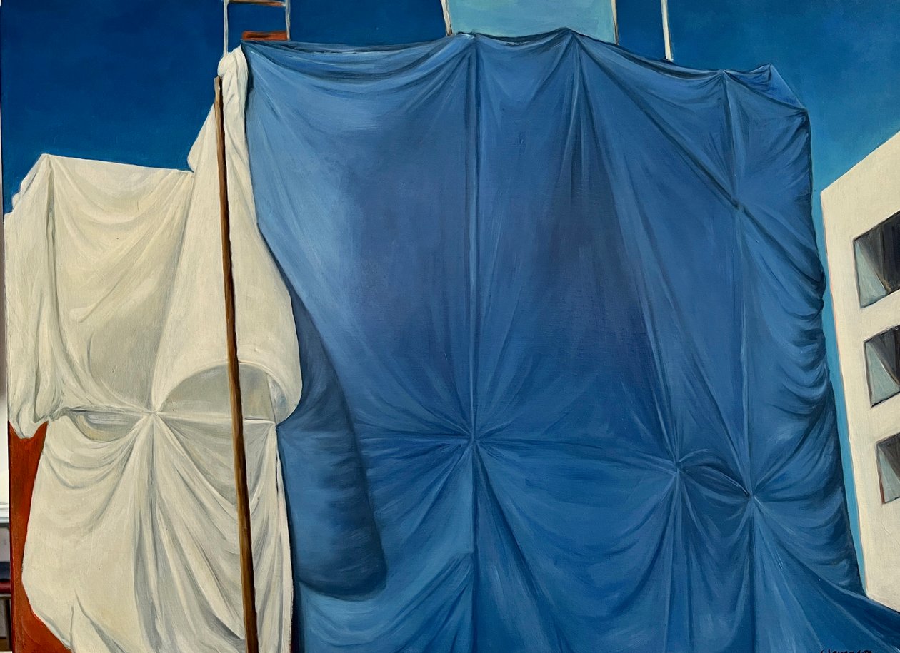 Draped On Fifth，2003 年（绘画） 作者 黛博拉·史蒂文森