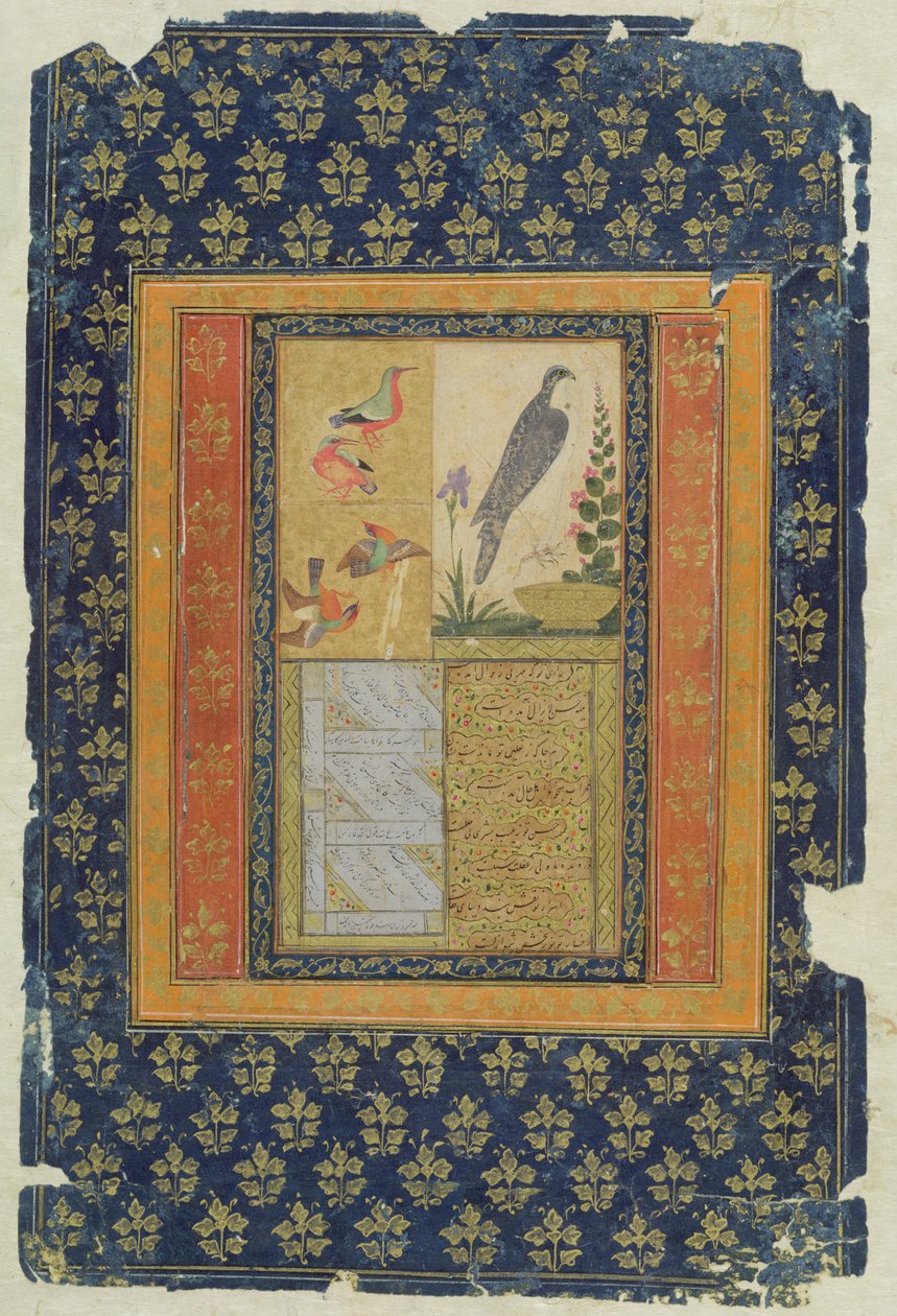 鸟类学习和书法，戈尔康达，安得拉邦，1570年（水粉，墨水和金色在纸上装饰边框） 作者 德卡尼学校