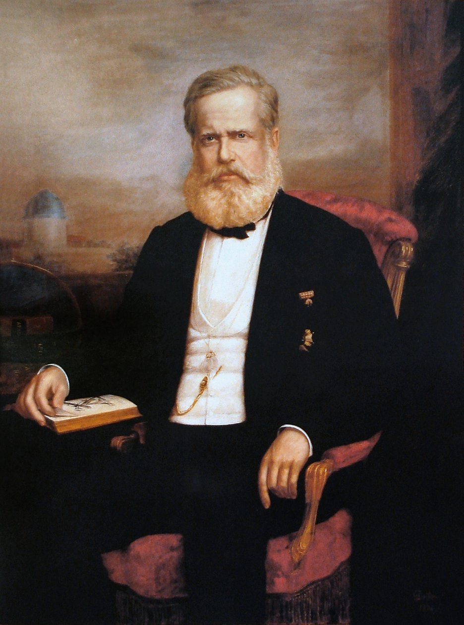 Dom Pedro II的肖像 作者 Delfim da Camara