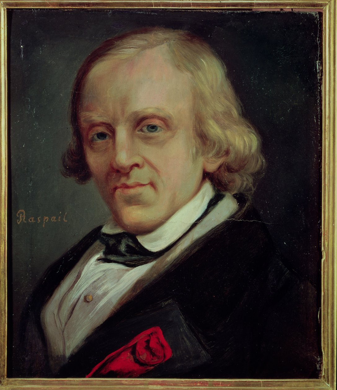 Francois Vincent Raspail（1794-1878）1849 作者 丹尼斯·邦内