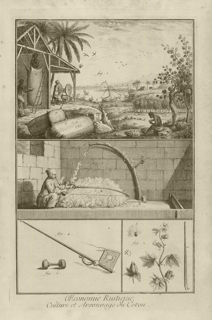 美国棉田;用弓打谷;棉花厂（标题），1762年 作者 丹尼斯·狄德罗