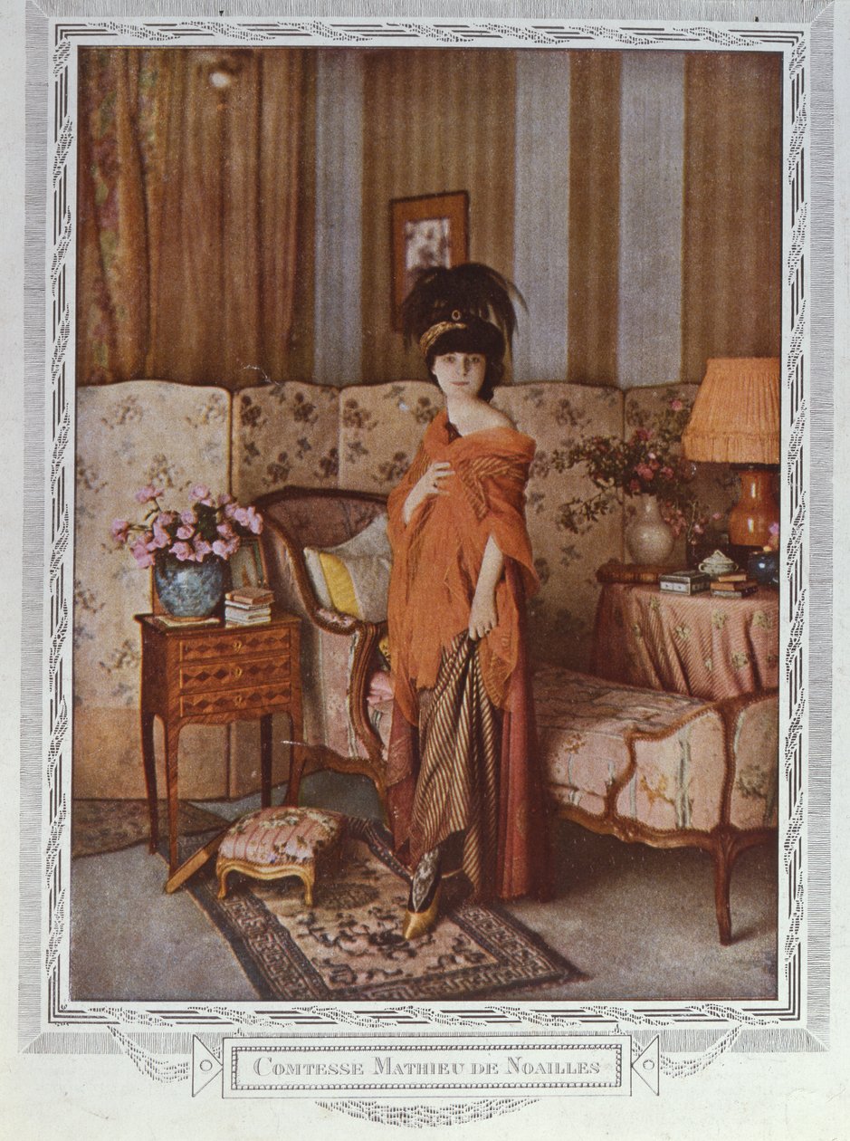 伯爵夫人Anna de Noailles（1876-1933）1913 作者 马赛琳·吉尔伯特·德斯布丁