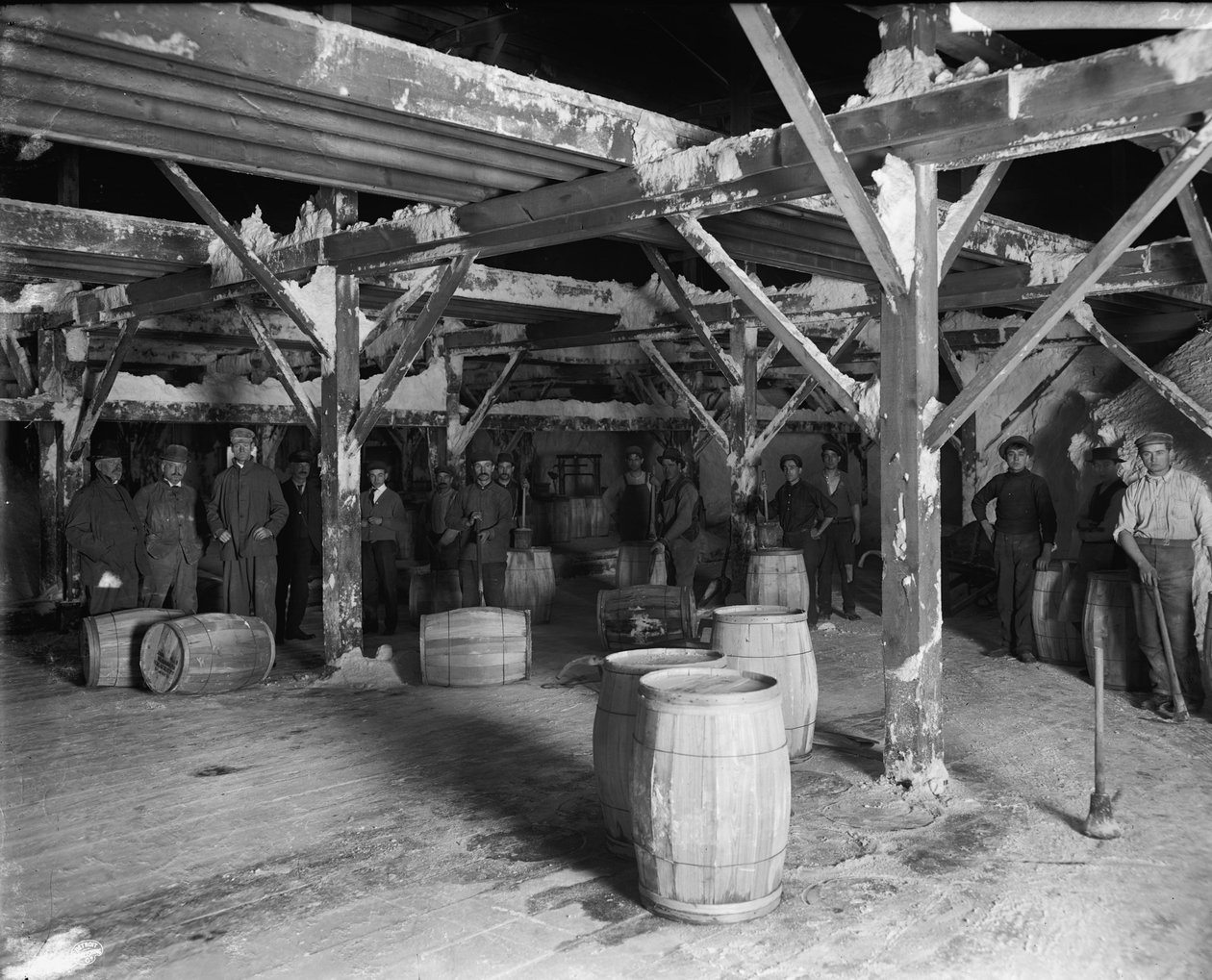 Del Ray Salt Co.，c.1900-20 作者 底特律出版公司