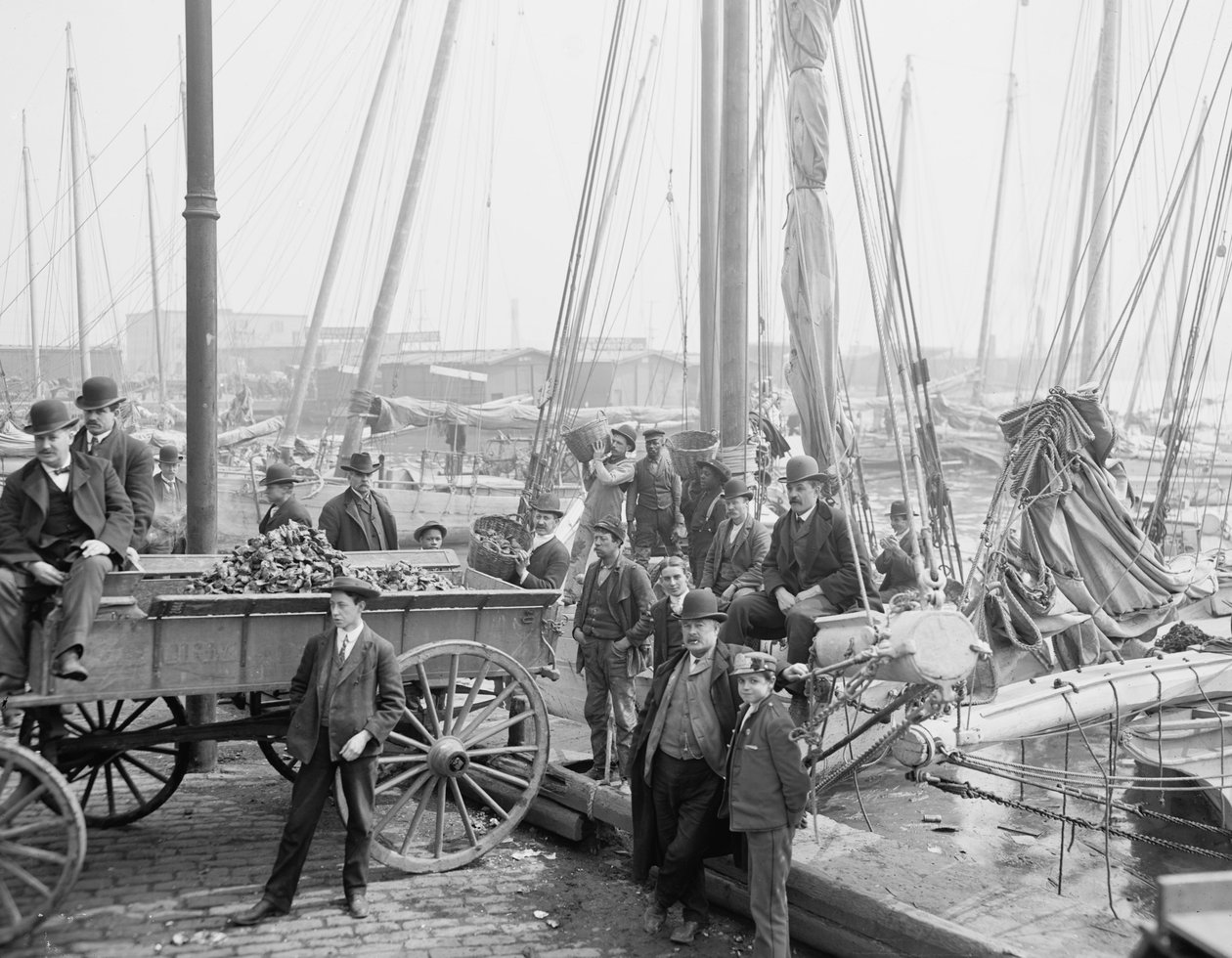 卸载牡蛎luggers，马里兰州巴尔的摩，1905年 作者 底特律出版公司