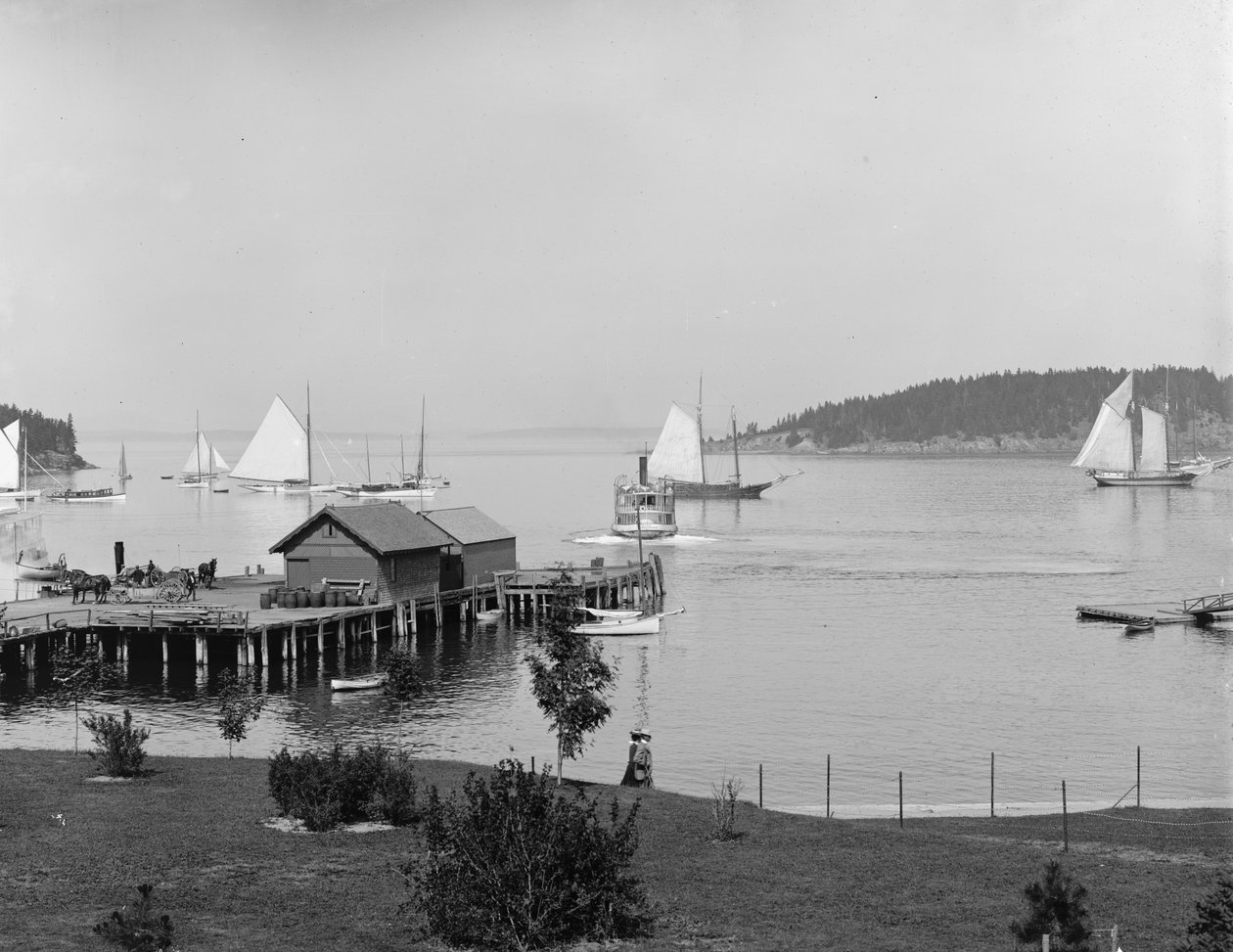 巴尔港，山缅因州的荒岛，纽波特之家的港口，c.1901 作者 底特律出版公司