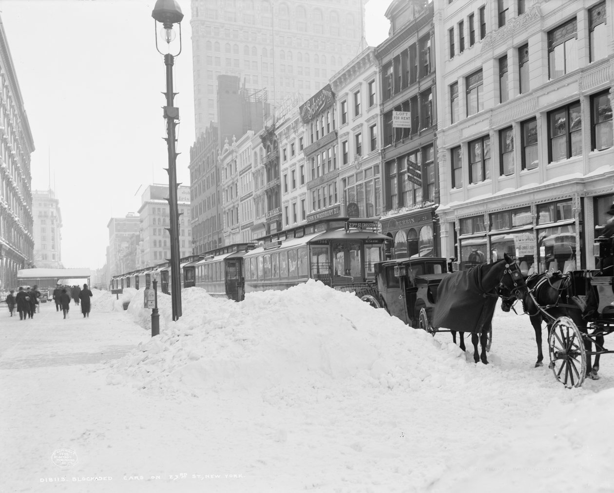 暴风雪后，纽约第23大街上被封锁的交通工具，约1905年（黑白照片 作者 底特律出版公司