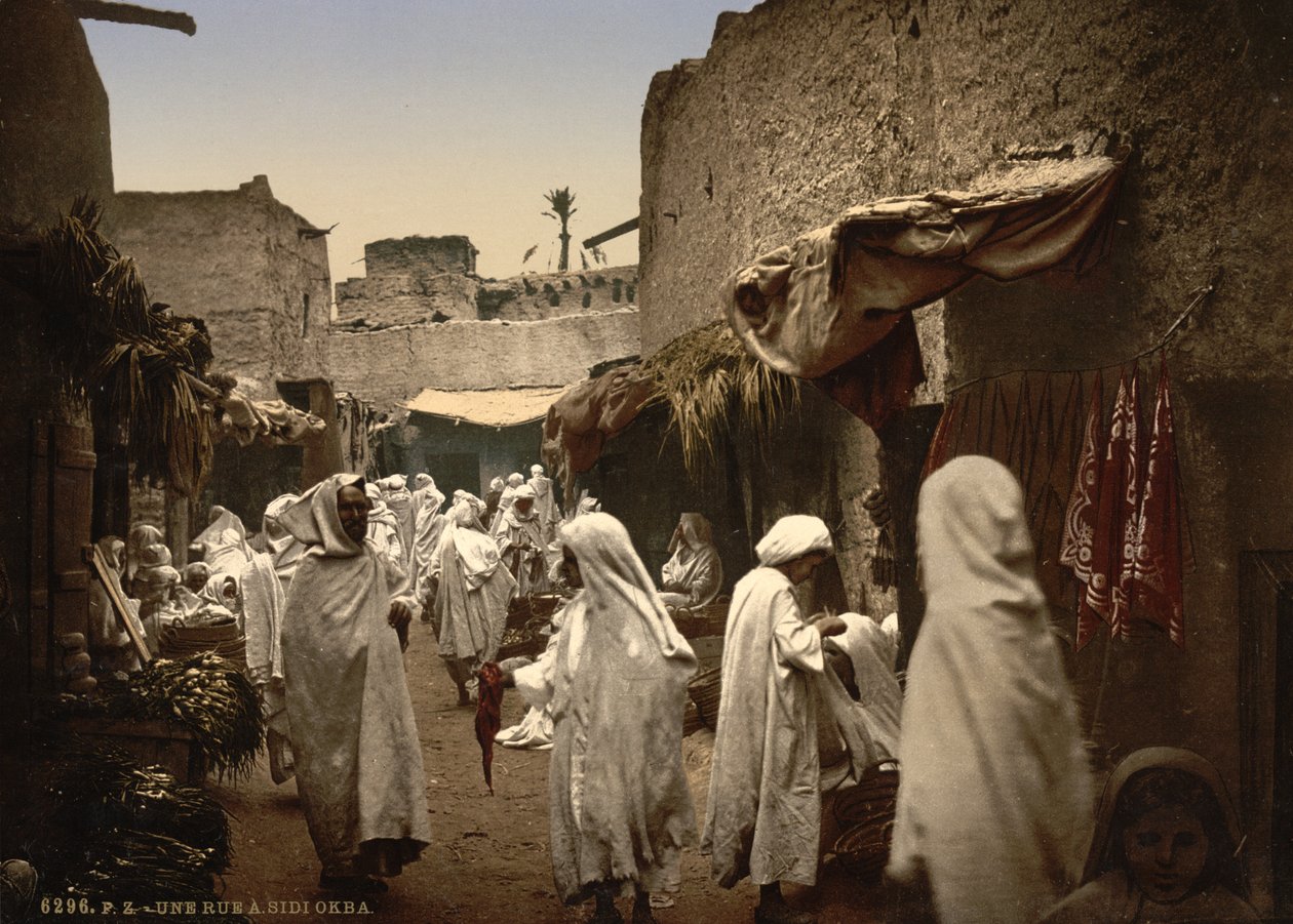 Sidi Okba的阿尔及利亚街，1899年（photochrom） 作者 底特律出版公司