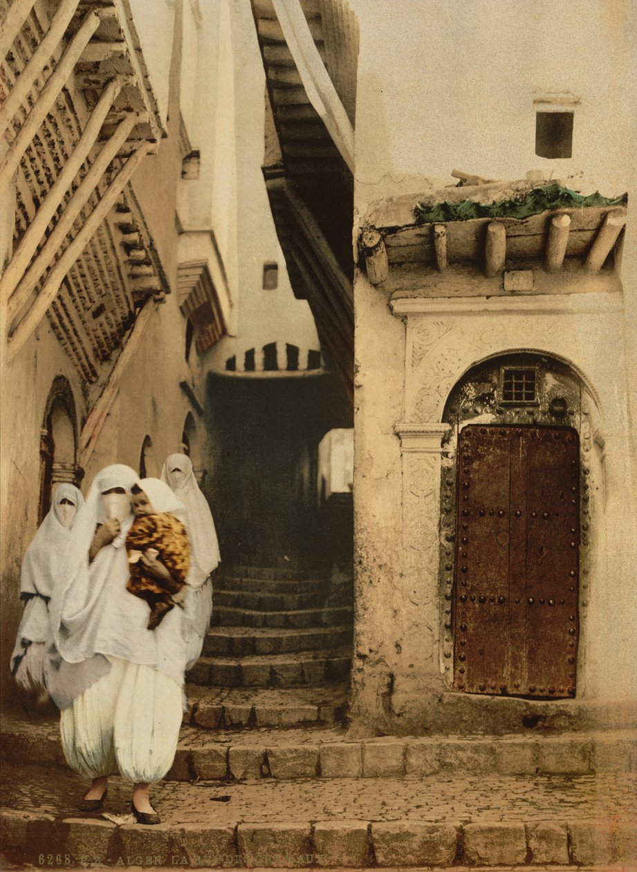 骆驼街，阿尔及尔，1899年（photochrom） 作者 底特律出版公司