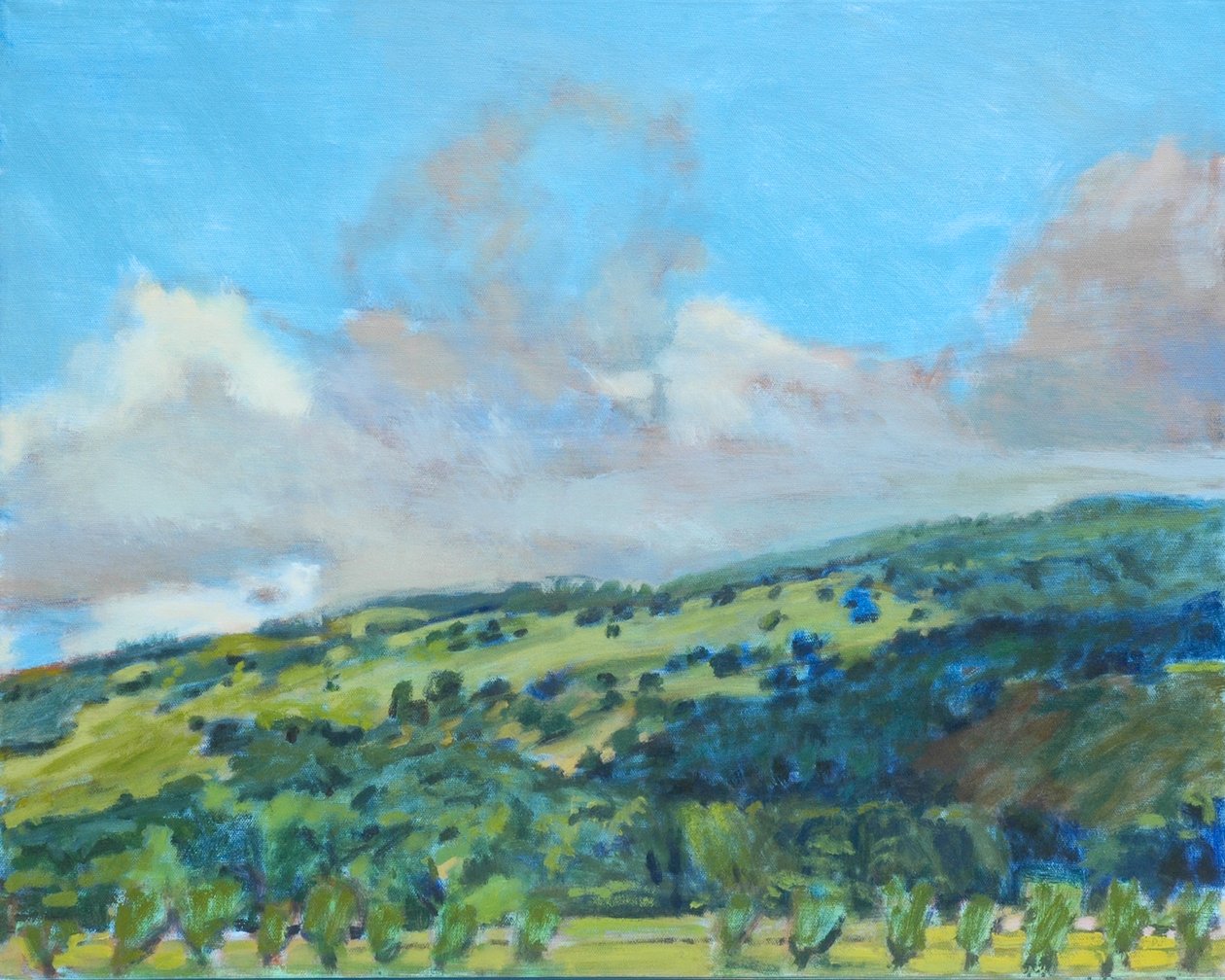 加利福尼亚山，2006 年（纸上粉彩画） 作者 戴安娜·扬斯