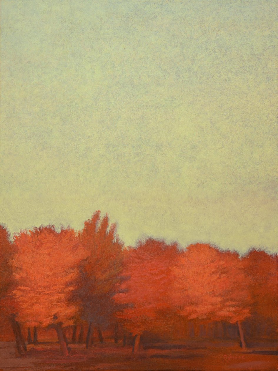 红色果园-ii，2008 年（纸上粉彩画） 作者 戴安娜·扬斯