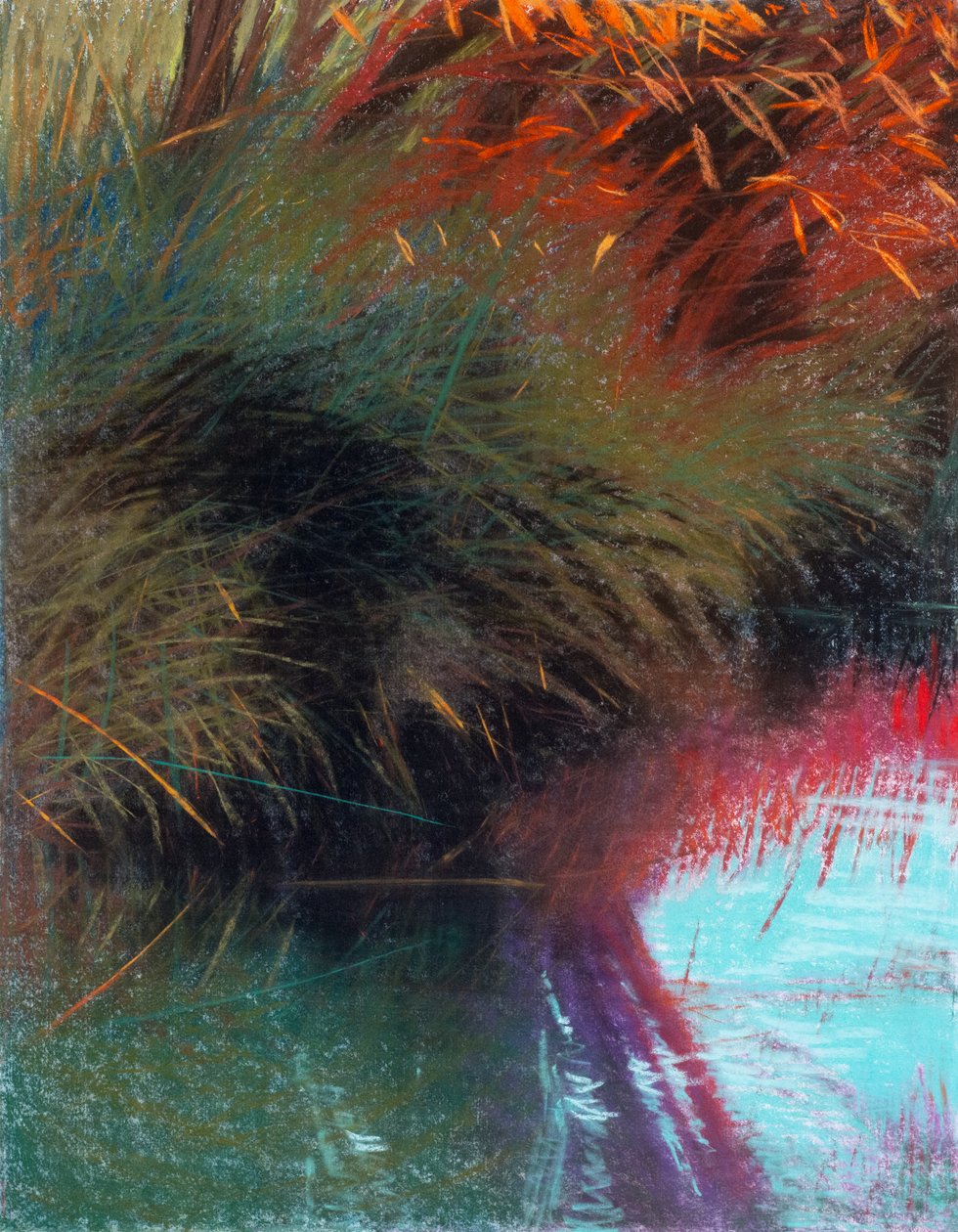 红柳 1b，2021 年（纸上粉彩画） 作者 戴安娜·扬斯