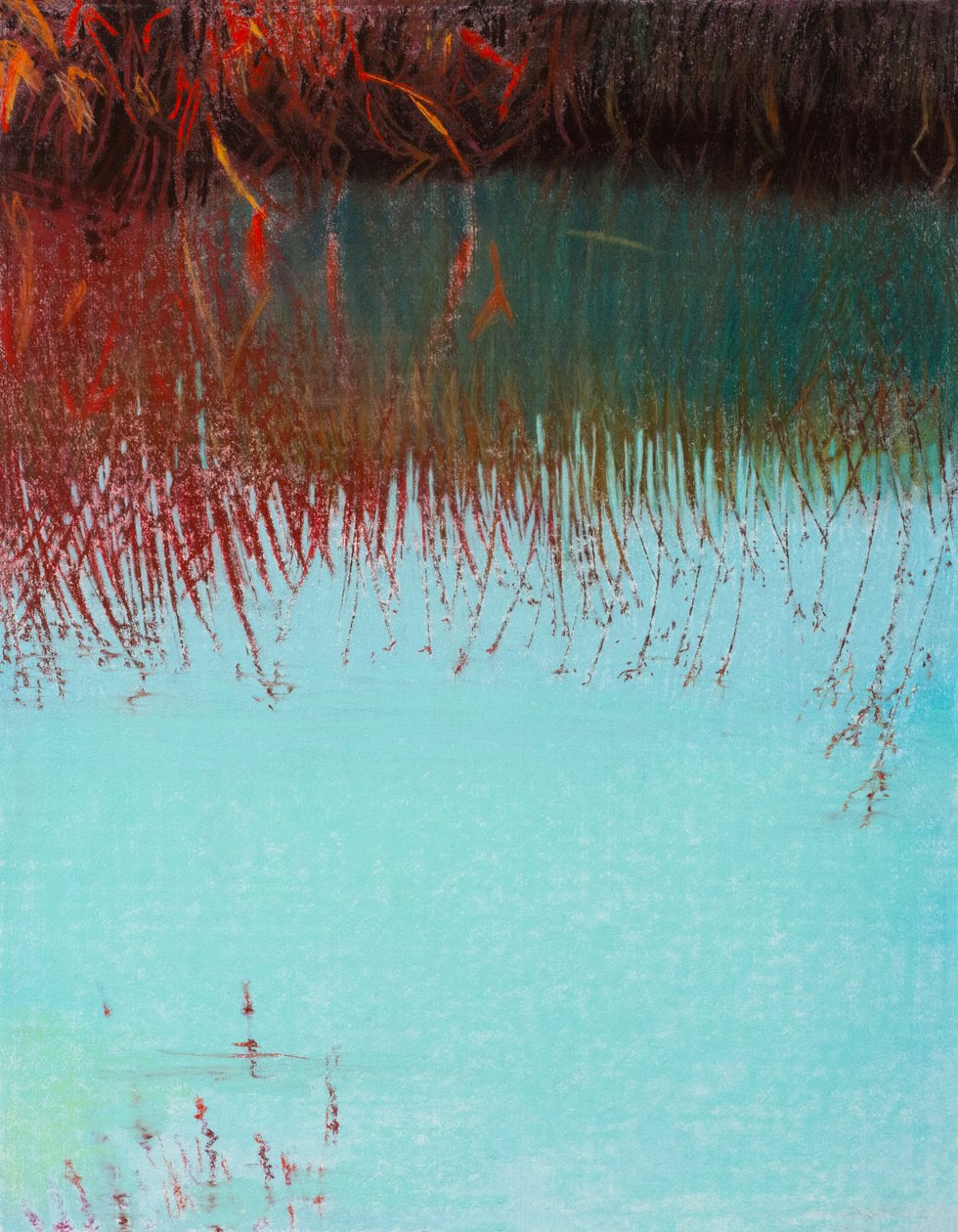 红柳 3b，2021 年（纸上粉彩画） 作者 戴安娜·扬斯
