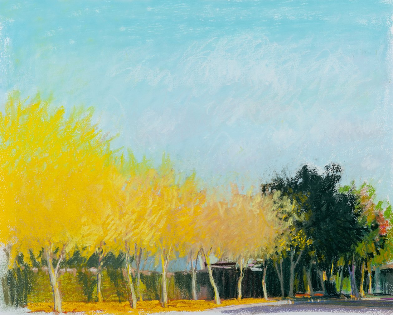 阳光灿烂的一面》，2015 年（纸上粉彩画） 作者 戴安娜·扬斯