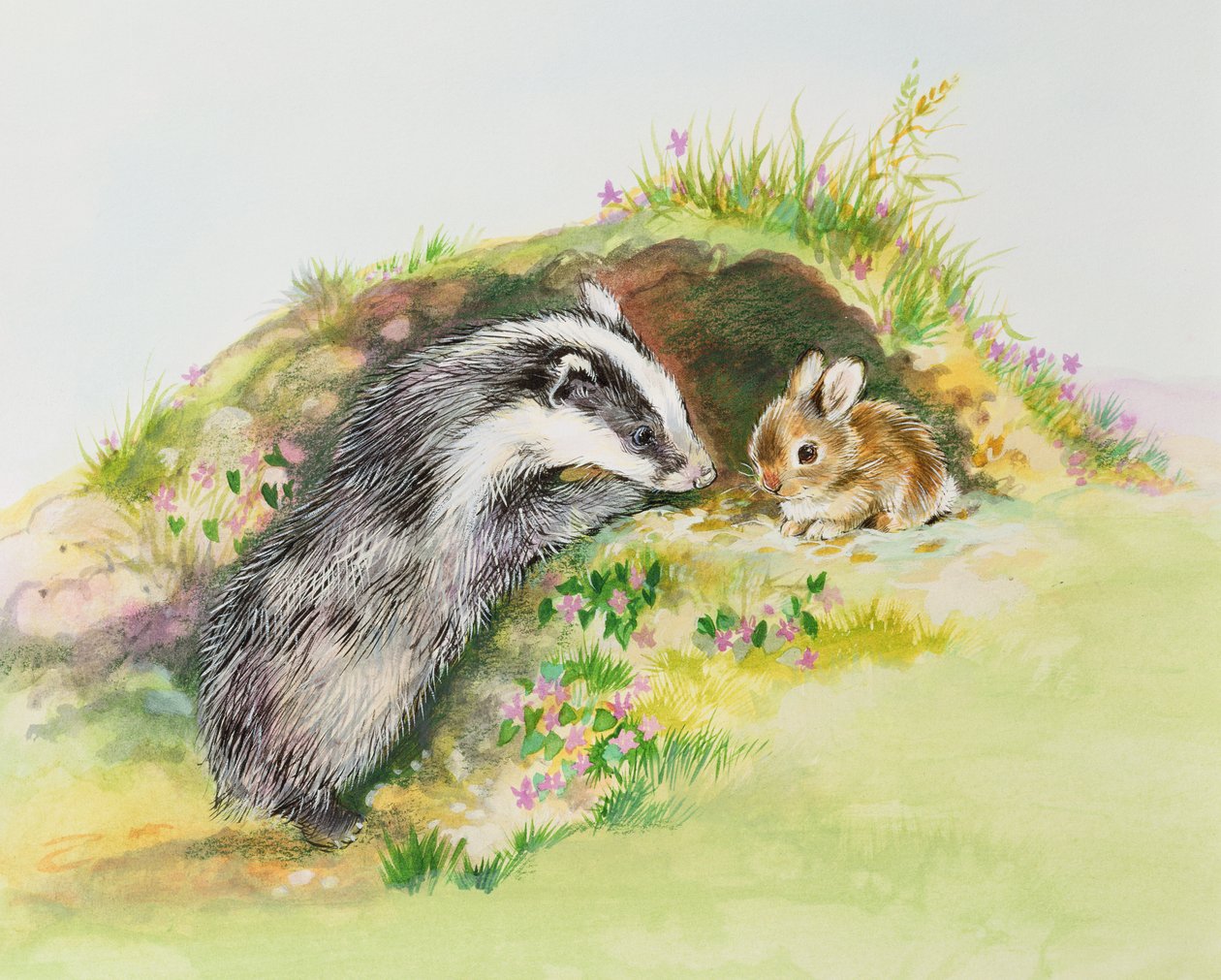 獾和一只兔子 作者 黛安·马蒂斯