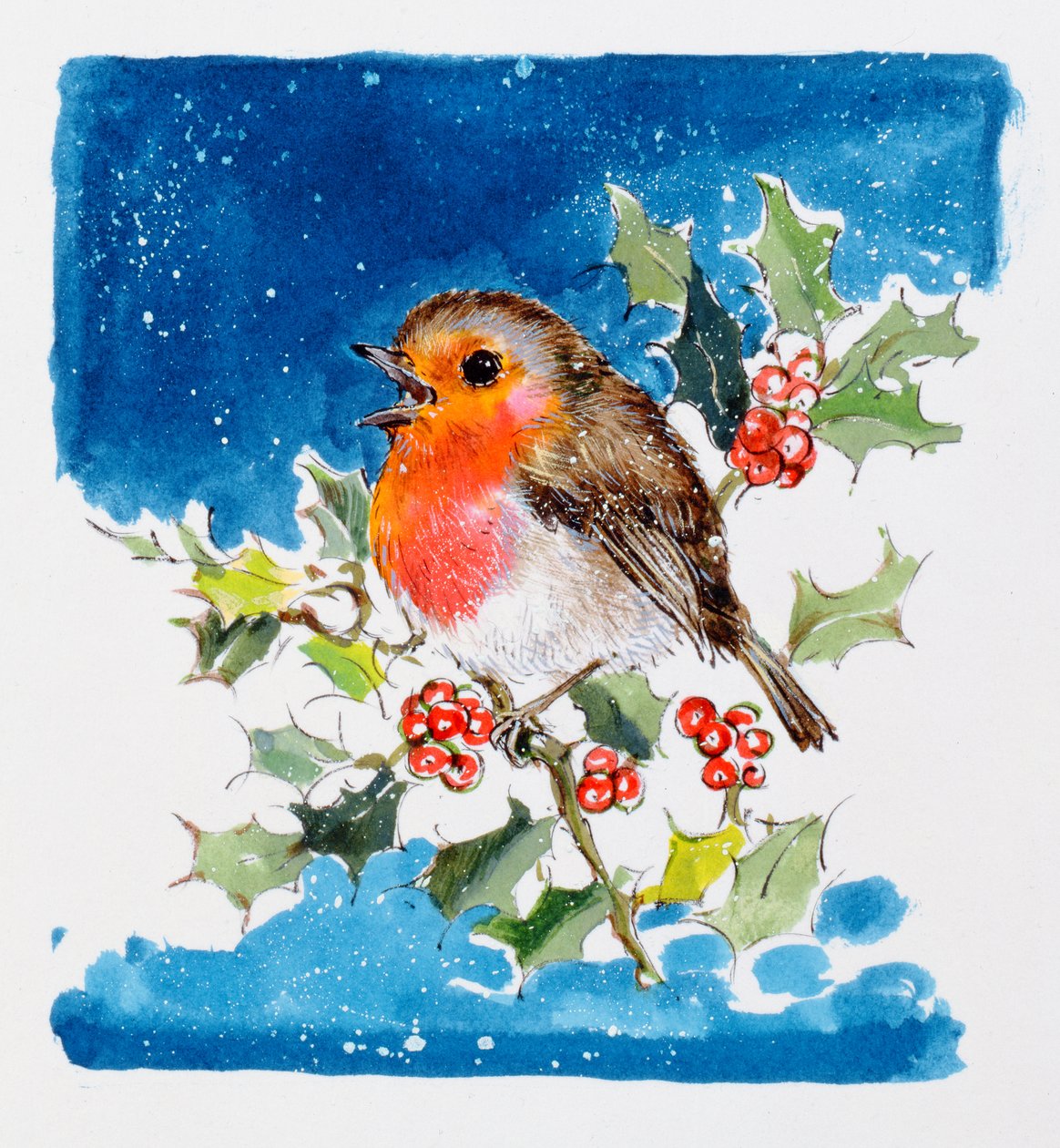 Robin Red-breast，1996（wc） 作者 黛安·马蒂斯