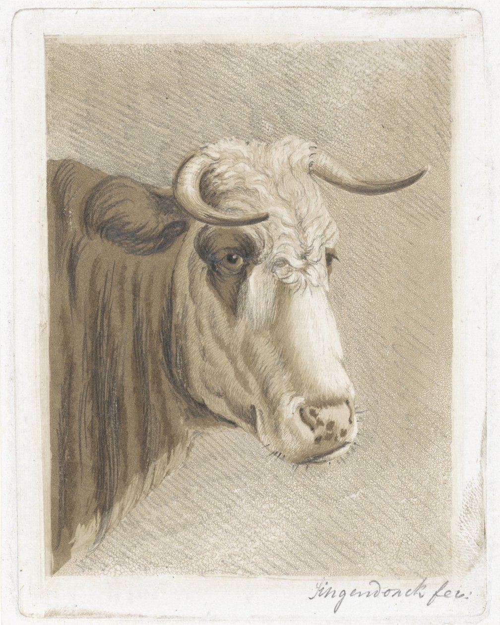 布谷鸟 作者 Diederik Jan Singendonck（艺术家签名）