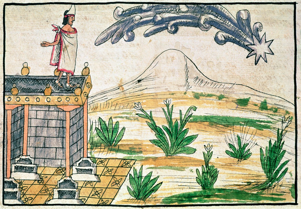 Montezuma II（1466-1520）观看彗星，1579（牛皮纸） 作者 迭戈·杜兰（Diego Duran）