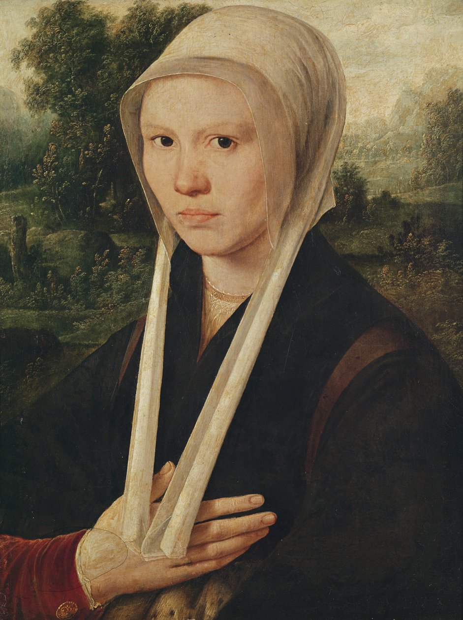 一名年轻女子的画像，c.1530 作者 德克·雅各布斯（Dirk Jacobsz）