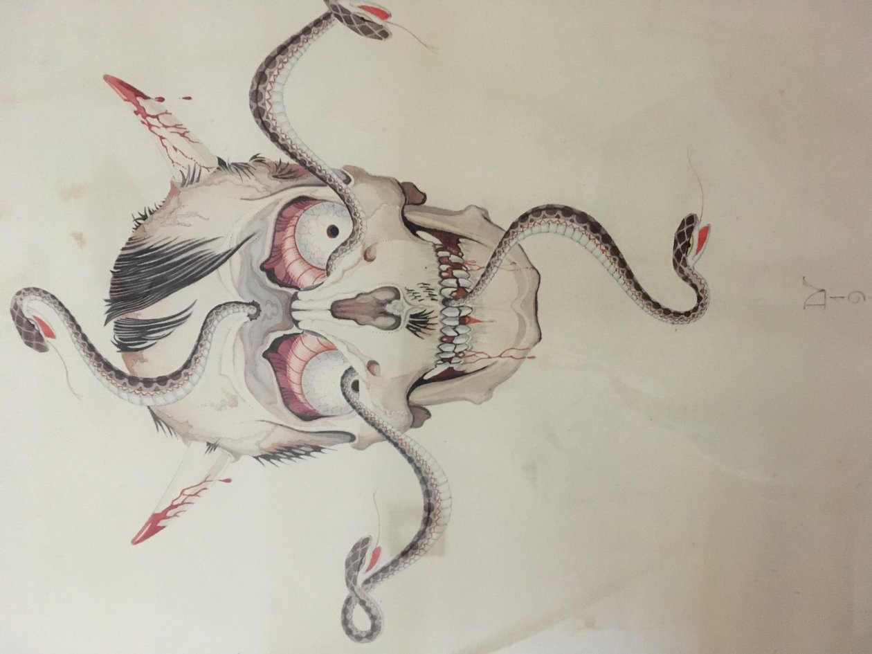 卡通希特勒 作者 德克·弗拉特伦