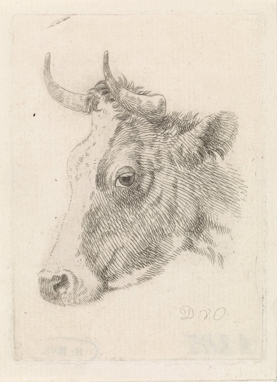 公牛的头，由Dirk van Oosterhoudt画 作者 德克·范·奥斯特胡德（Dirk van Oosterhoudt）