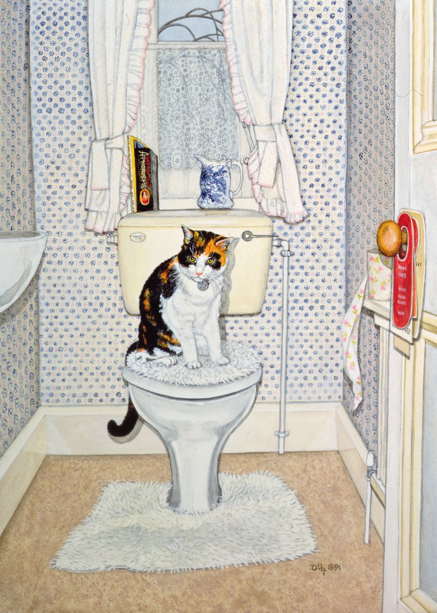 1991年，厕所上的猫 作者 迪兹