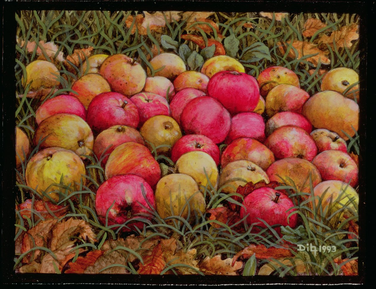 Durnitzhofer Apples，1993 作者 迪兹