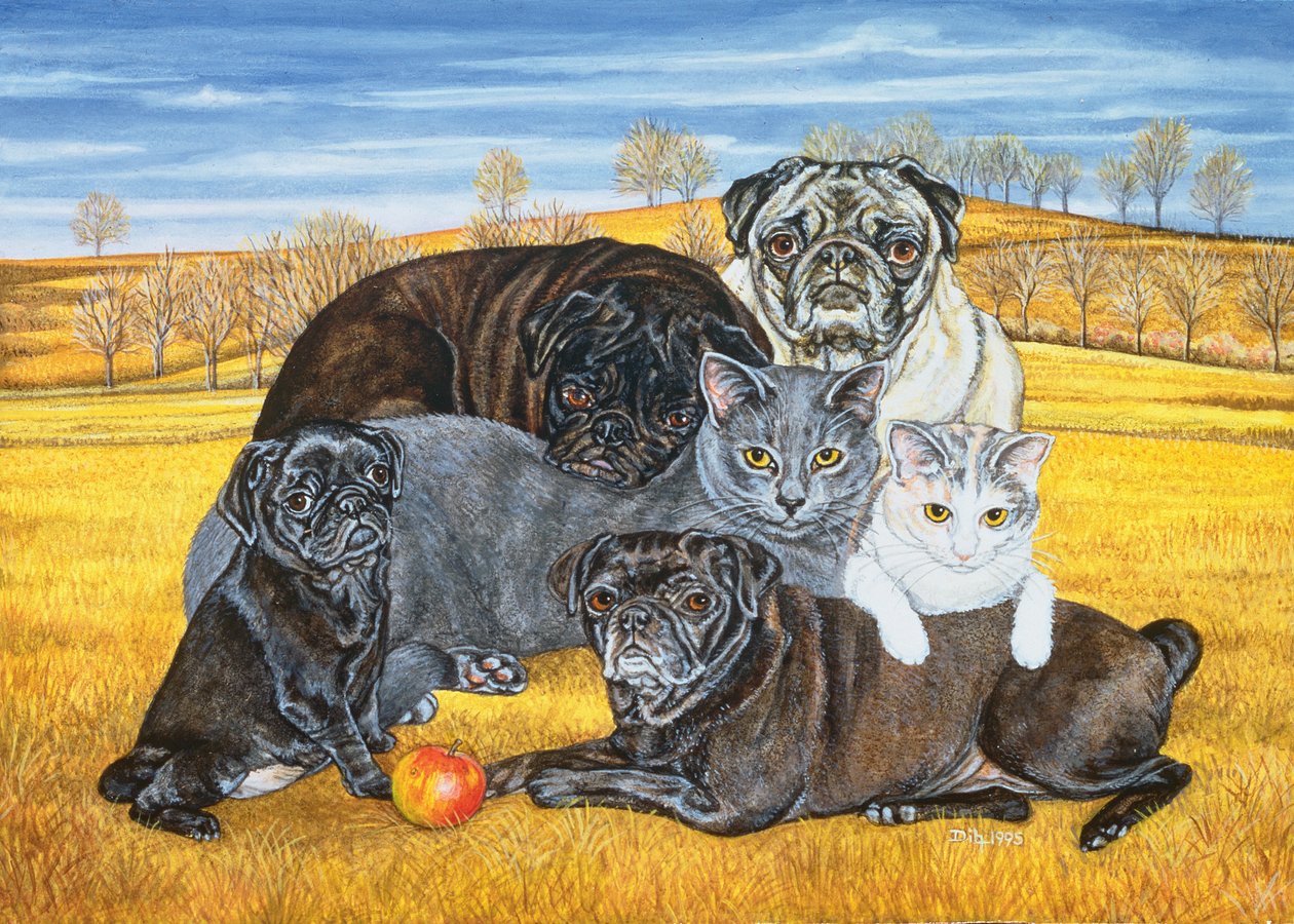 Hocking County Pug-Cats，1995 作者 迪兹
