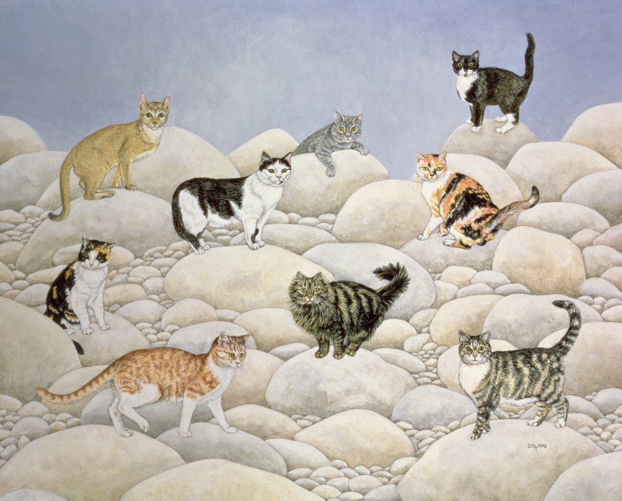 林恩谷猫 作者 迪兹