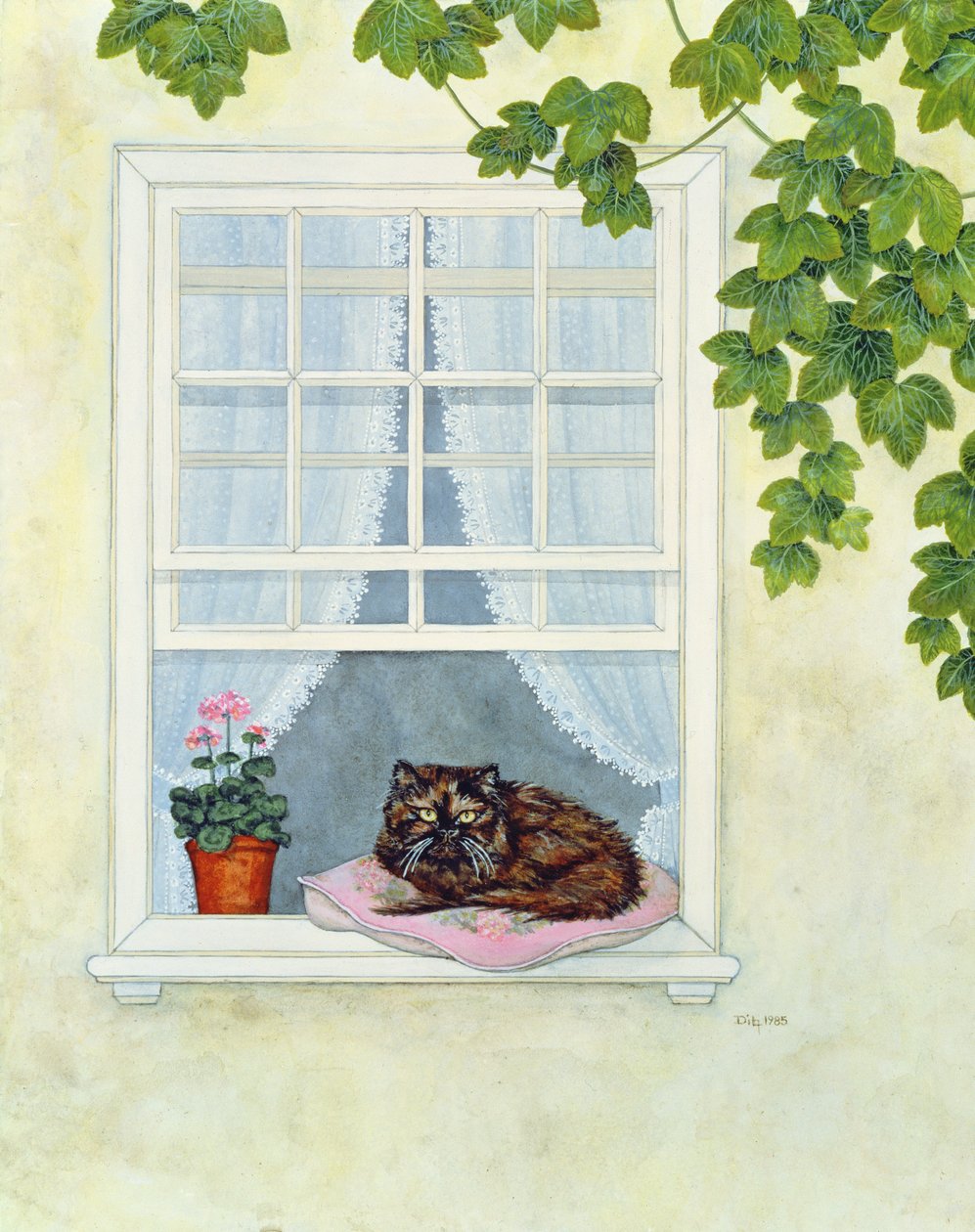 Pams Cat 作者 迪兹