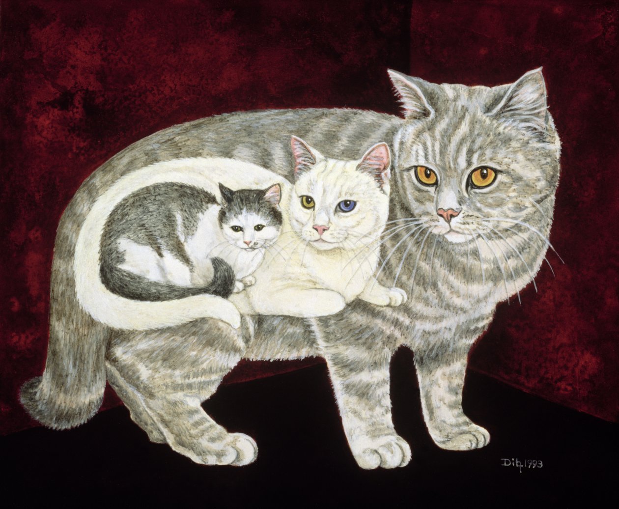 俄罗斯猫 作者 迪兹