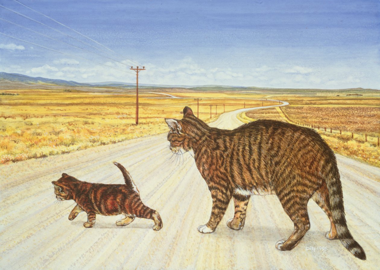 Saratoga Crossing，1995年 作者 迪兹