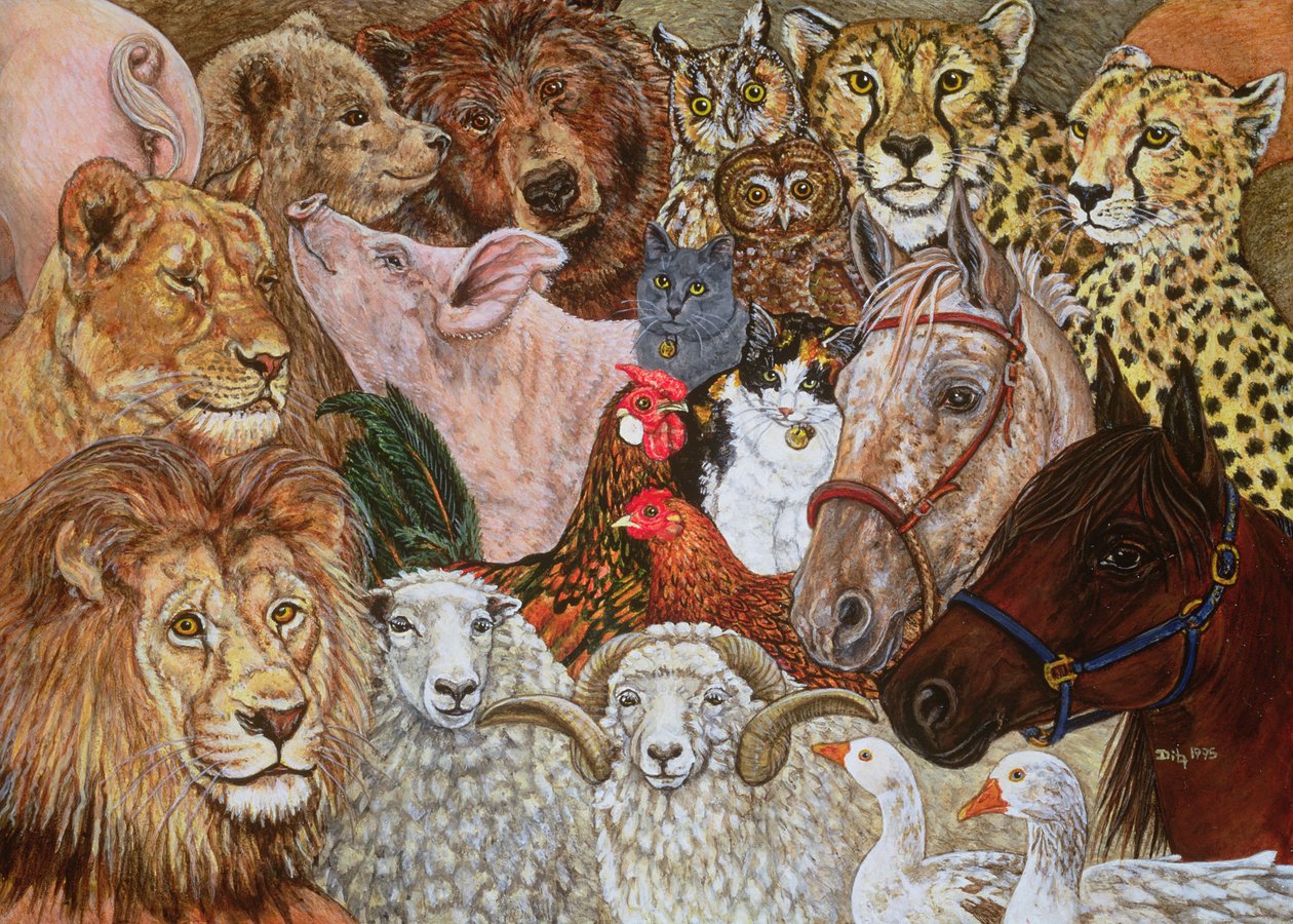 方舟传播，1995年 作者 迪兹