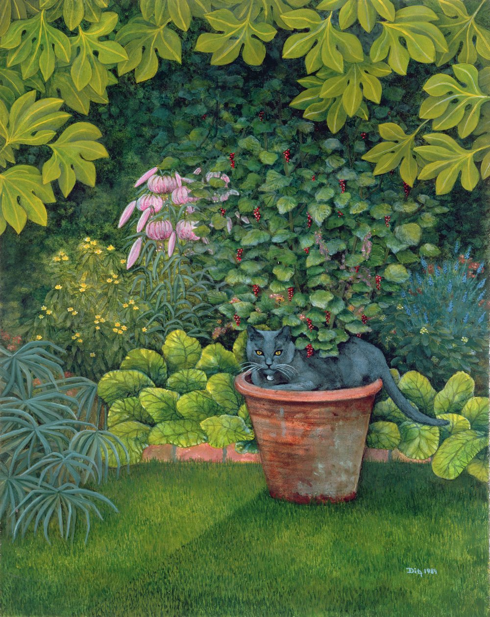 花盆猫 作者 迪兹