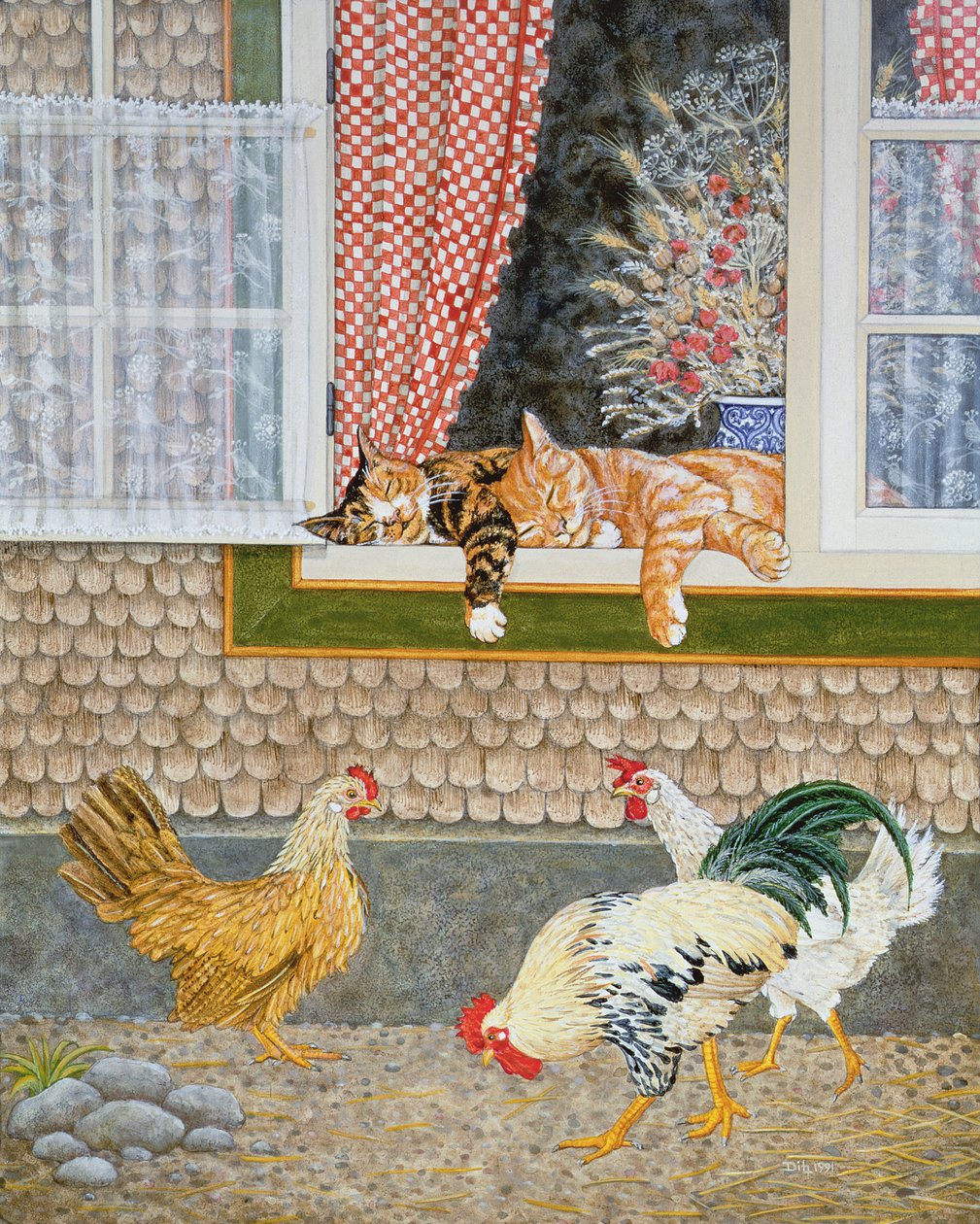 家禽和猫咪 作者 迪兹