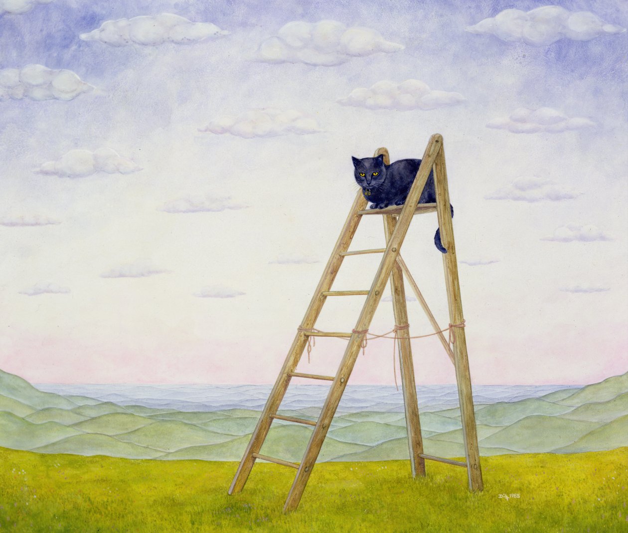 梯子猫 作者 迪兹