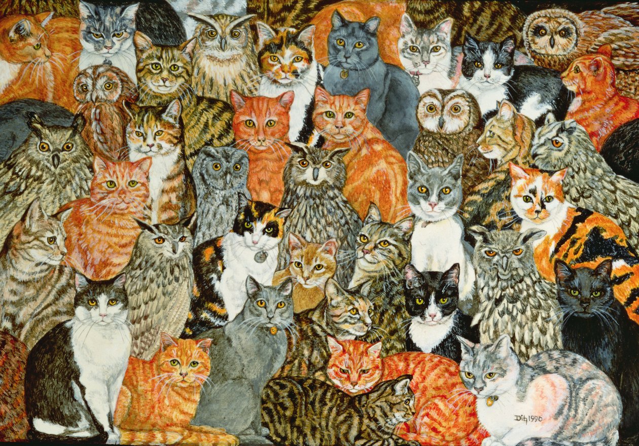 猫头鹰和猫咪 作者 迪兹