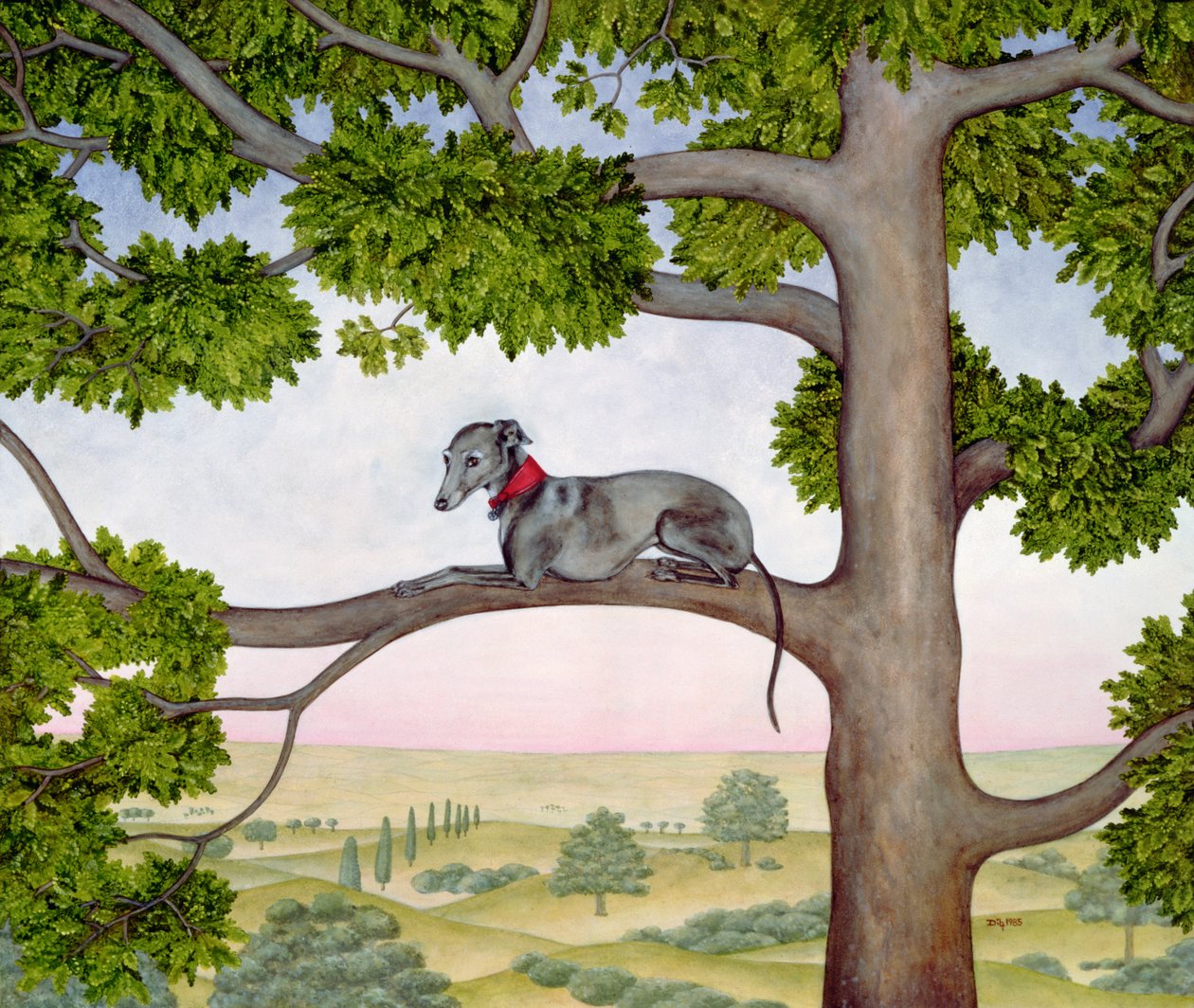 树的Whippet 作者 迪兹