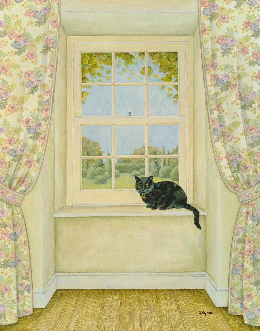窗猫 作者 迪兹