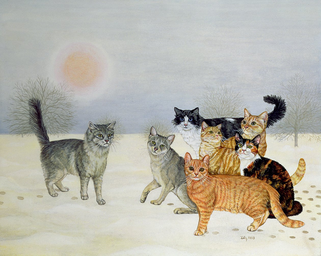 冬季，猫 作者 迪兹