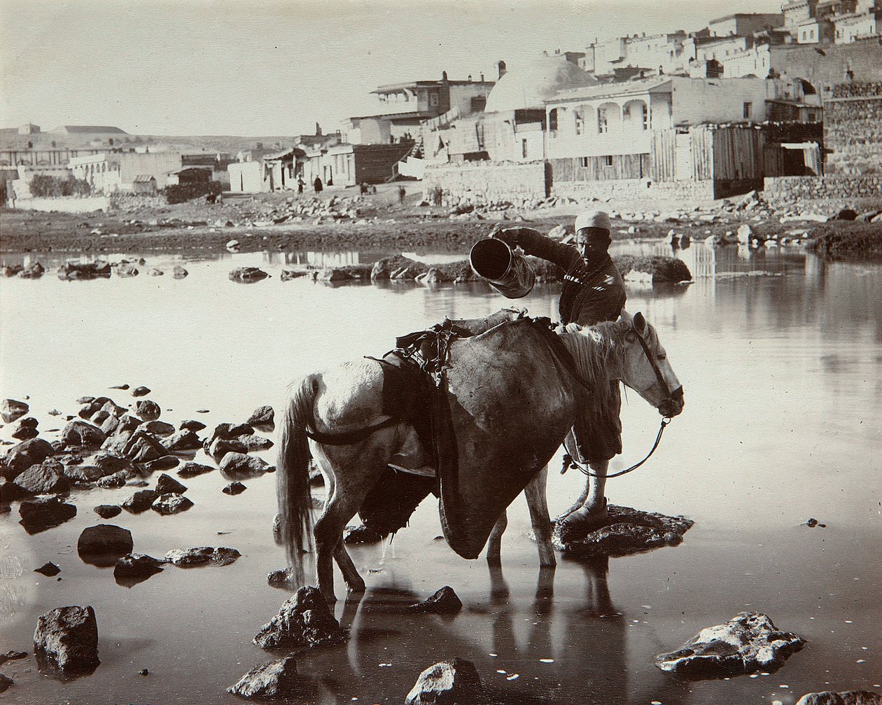 1880年代的饮水场 作者 德米特里（Dmitri Ivanovich Yermakov）