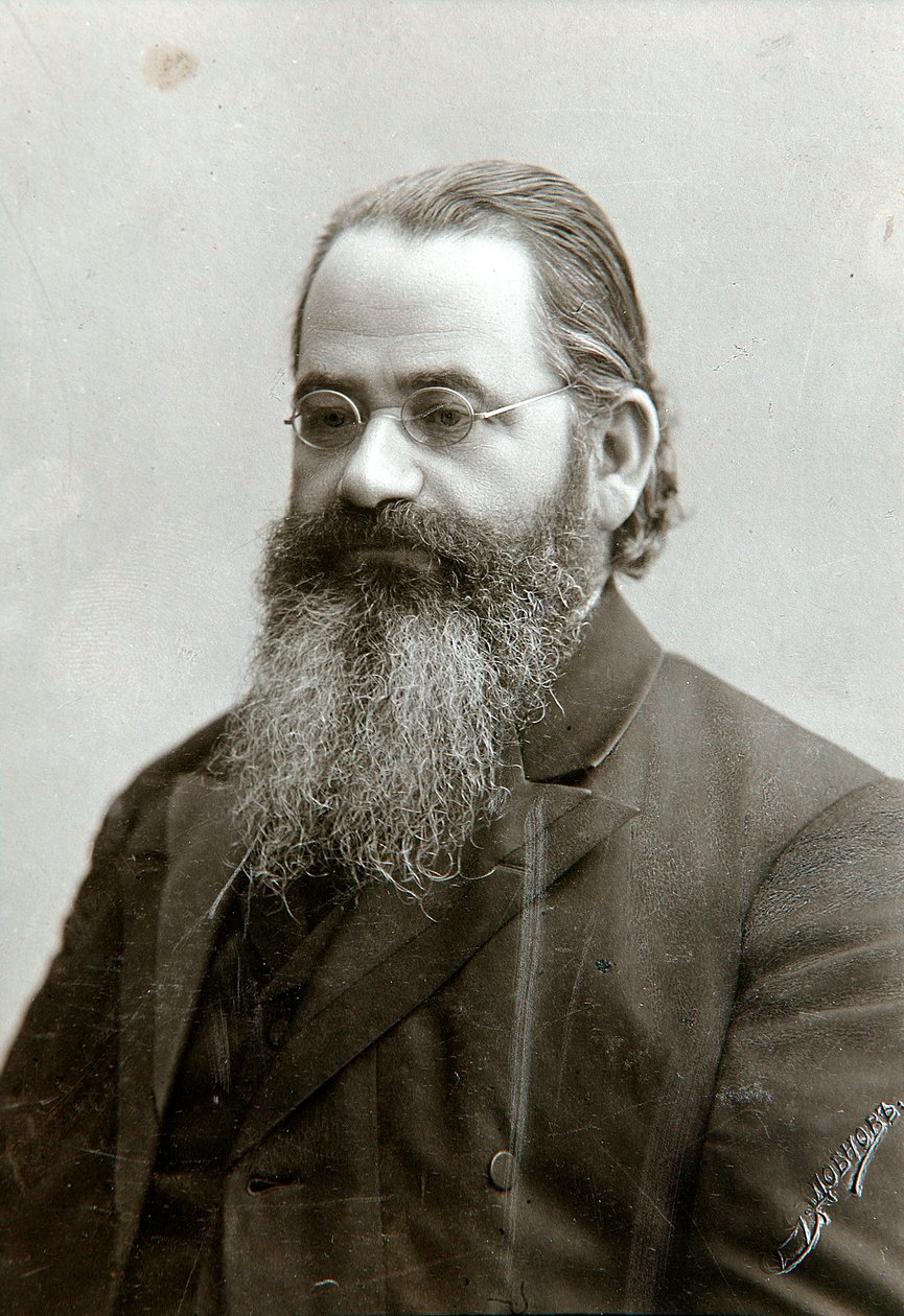 Semyon Vengerov，1890年代的俄罗斯文学评论家和历史学家 作者 德米特里·斯皮里多诺维奇·兹多布诺夫