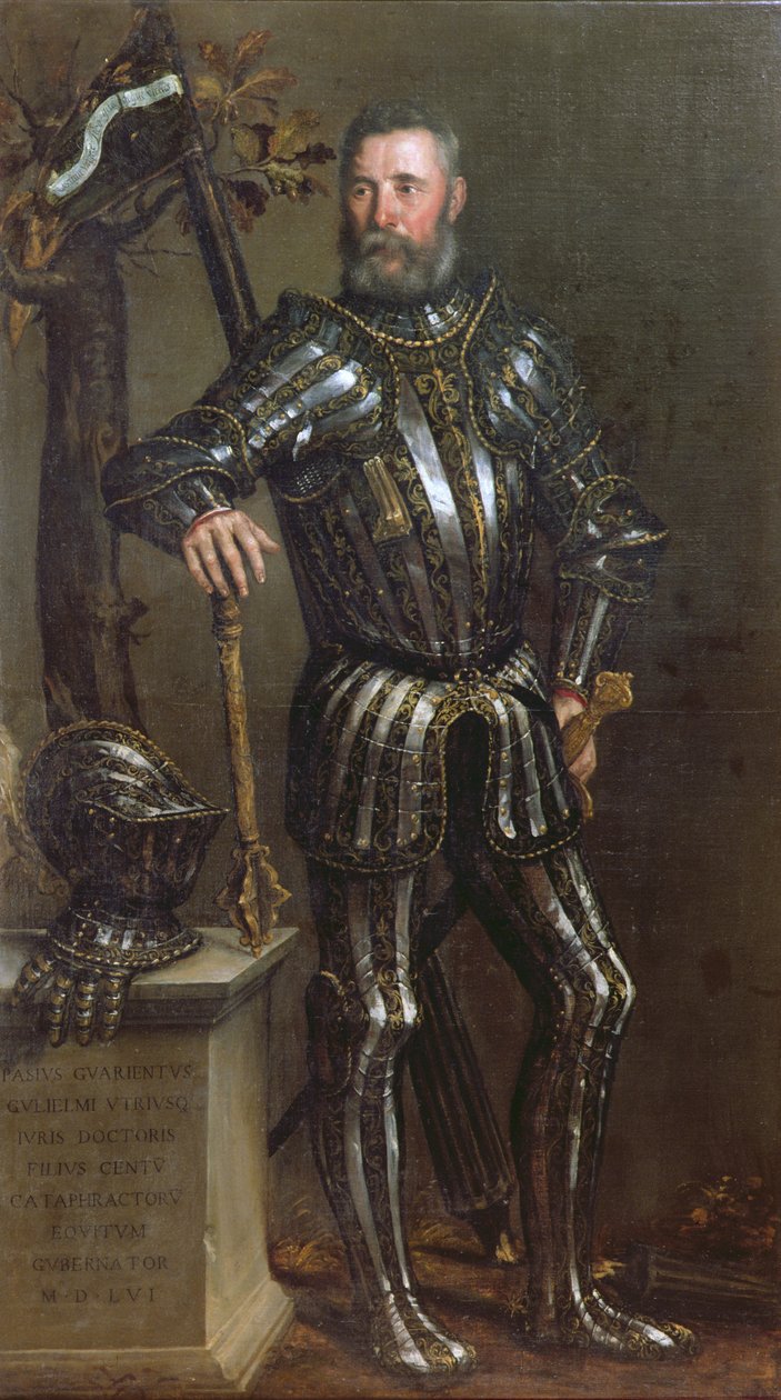 Pase Guarienti（1500-c.63），威尼斯骑士和贵族的肖像 作者 多梅尼科·布鲁萨索奇（Domenico Brusasorci）