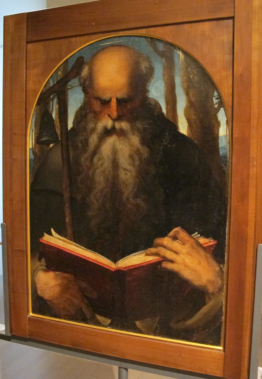 Baccafumi, cataletto for the deceased of the company of s. a. abate, 1538-40, Antonio abate legente 作者 多梅尼科·贝卡法米