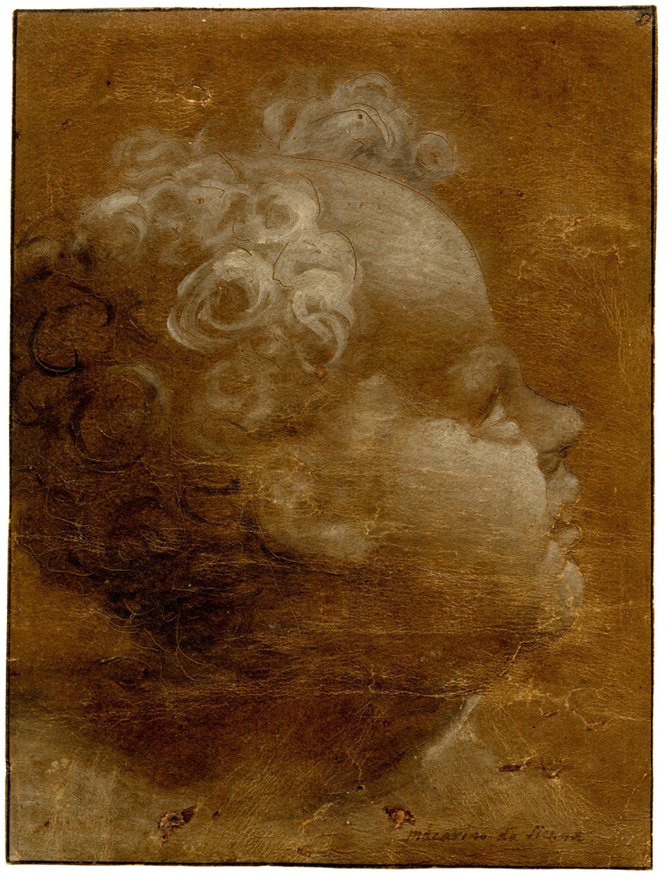 Beccafumi - 儿童仰视头像，右侧轮廓 灰棕色和白色油彩刷画，棕色画纸，线条缩进，1528 年（约） 作者 多梅尼科·贝卡法米