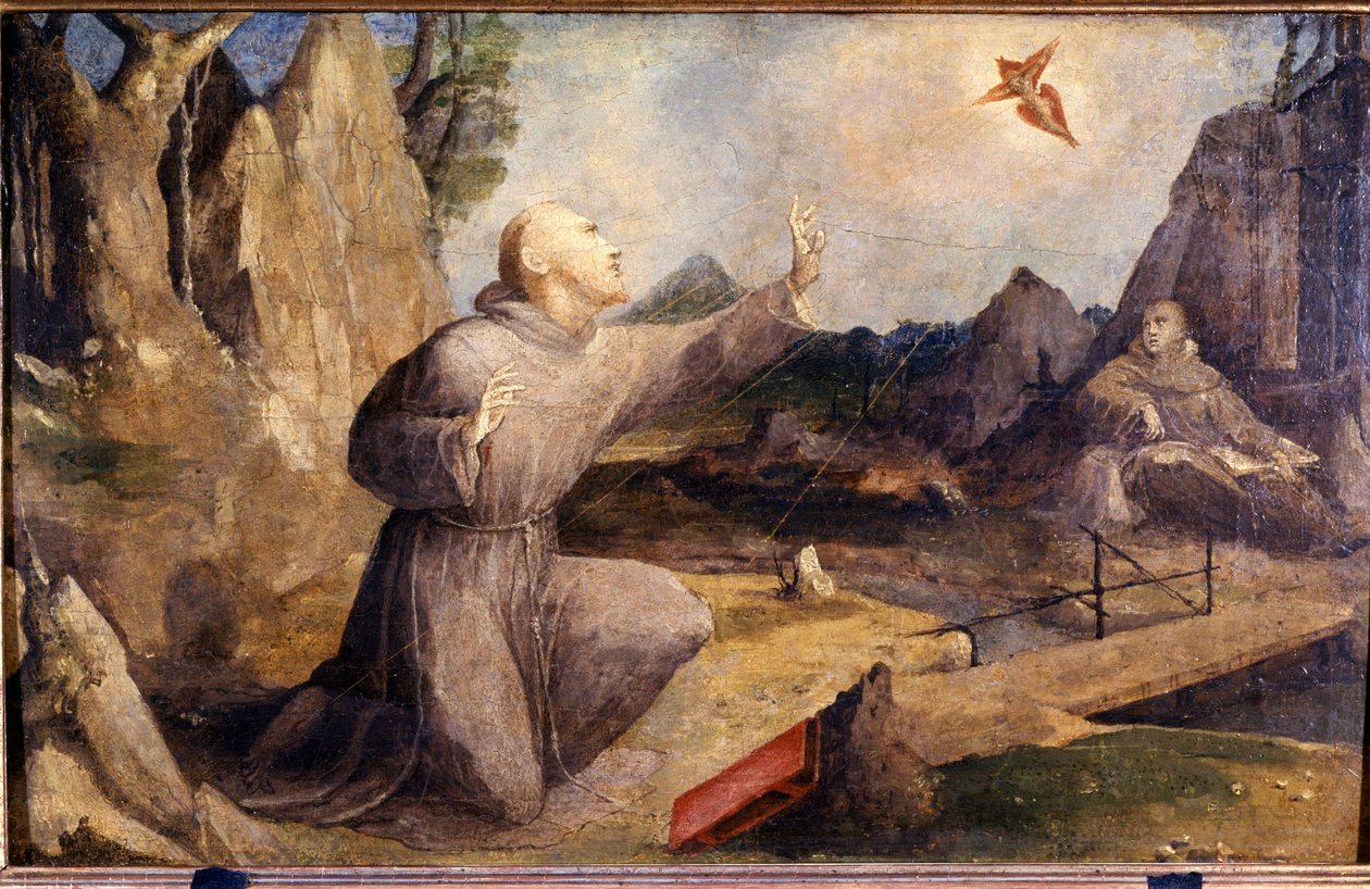 圣弗朗西斯受到耻辱。 Beccafumi Domenico Mecarino（约 1486 - 1551） 作者 多梅尼科·贝卡法米