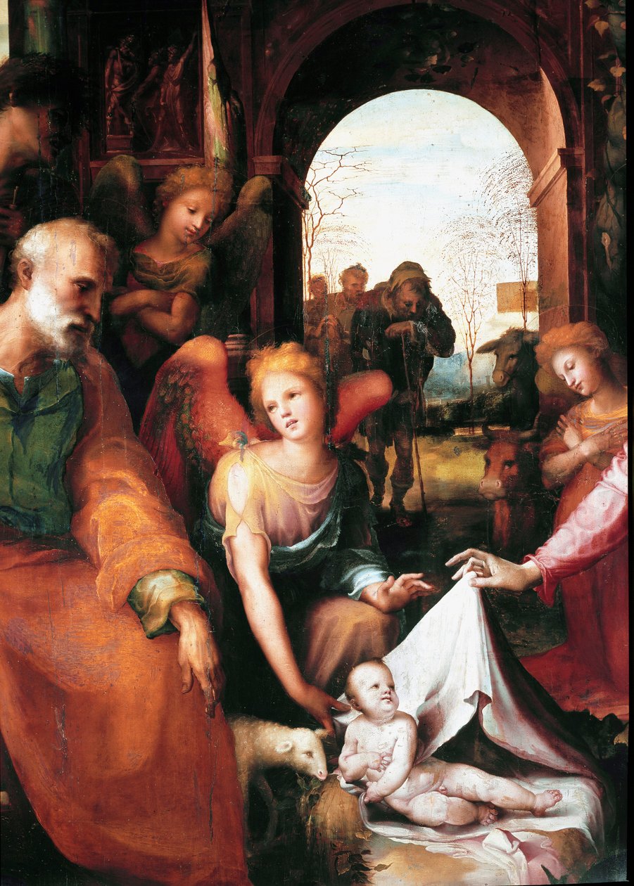 诞生, 细节. Domenico Beccafumi (1486-1551) 的绘画 作者 多梅尼科·贝卡法米