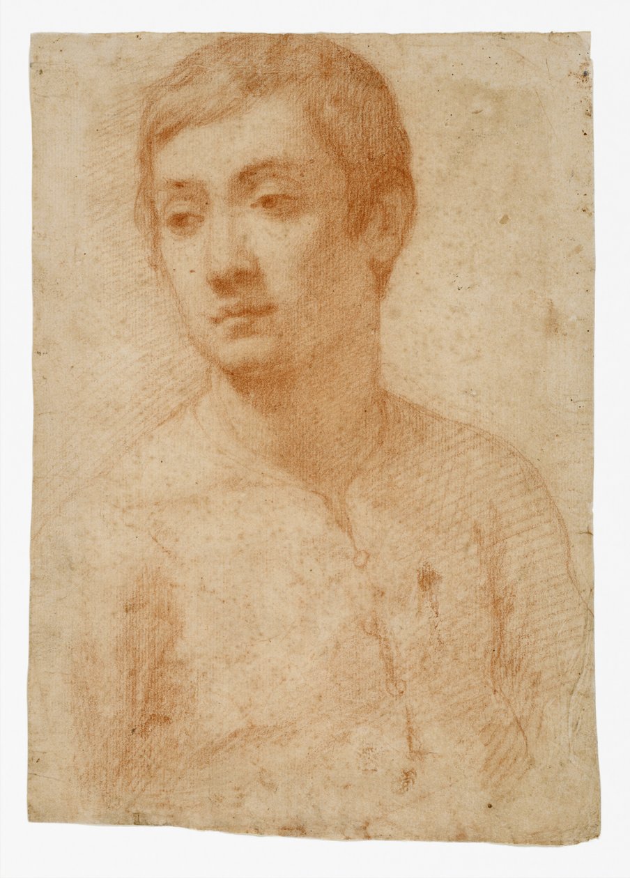 青年团长，c.1600-25（纸上的红色粉笔） 作者 多梅尼科·克雷斯蒂（Domenico Cresti）