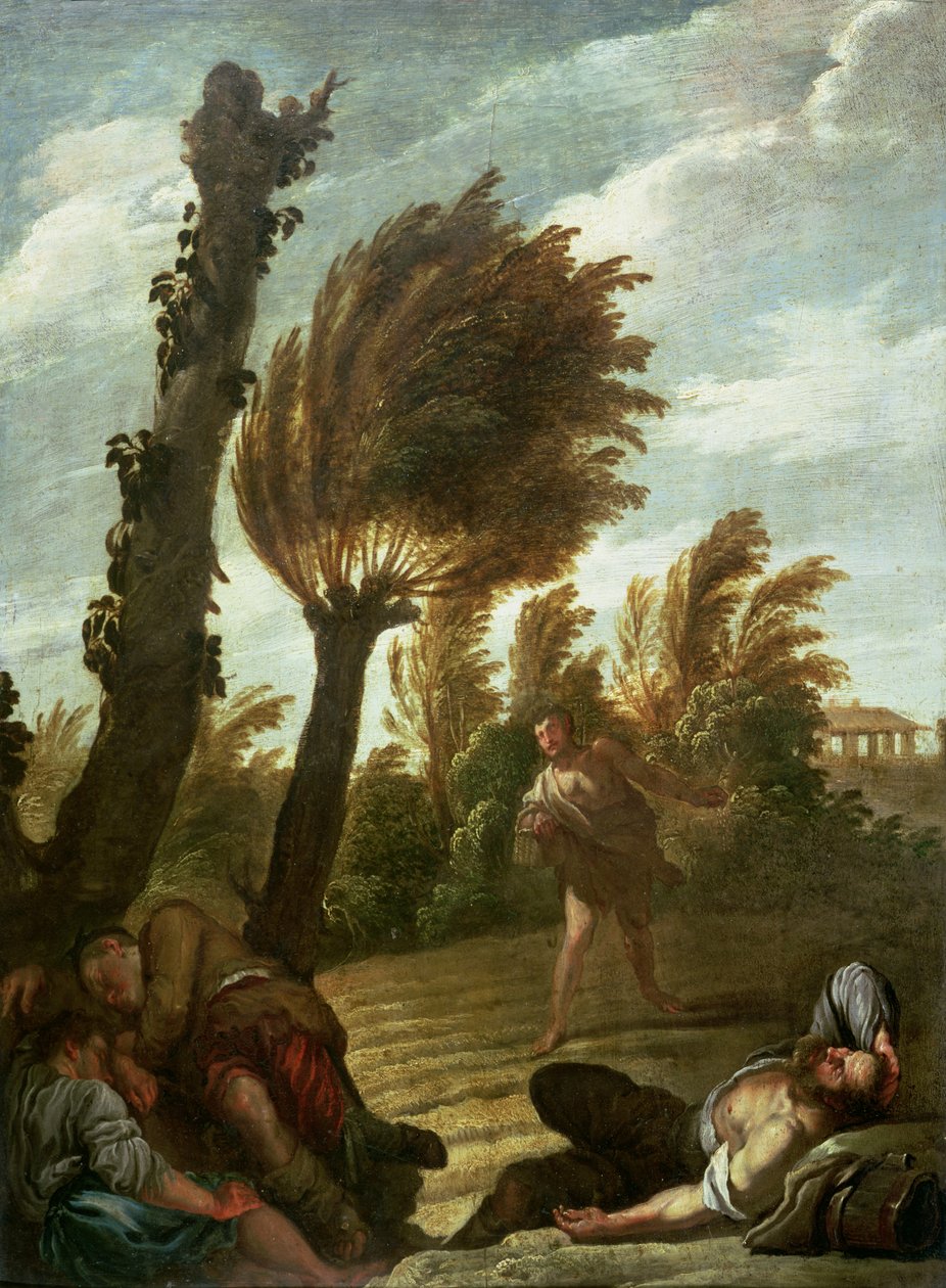 Cares of Tares的比喻，c.1620-21 作者 Domenico Fetti或Feti